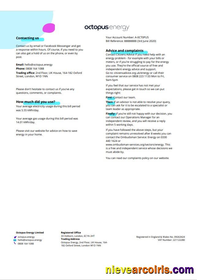 United Kingdom Octopus Energy utility bill 3 pages 3